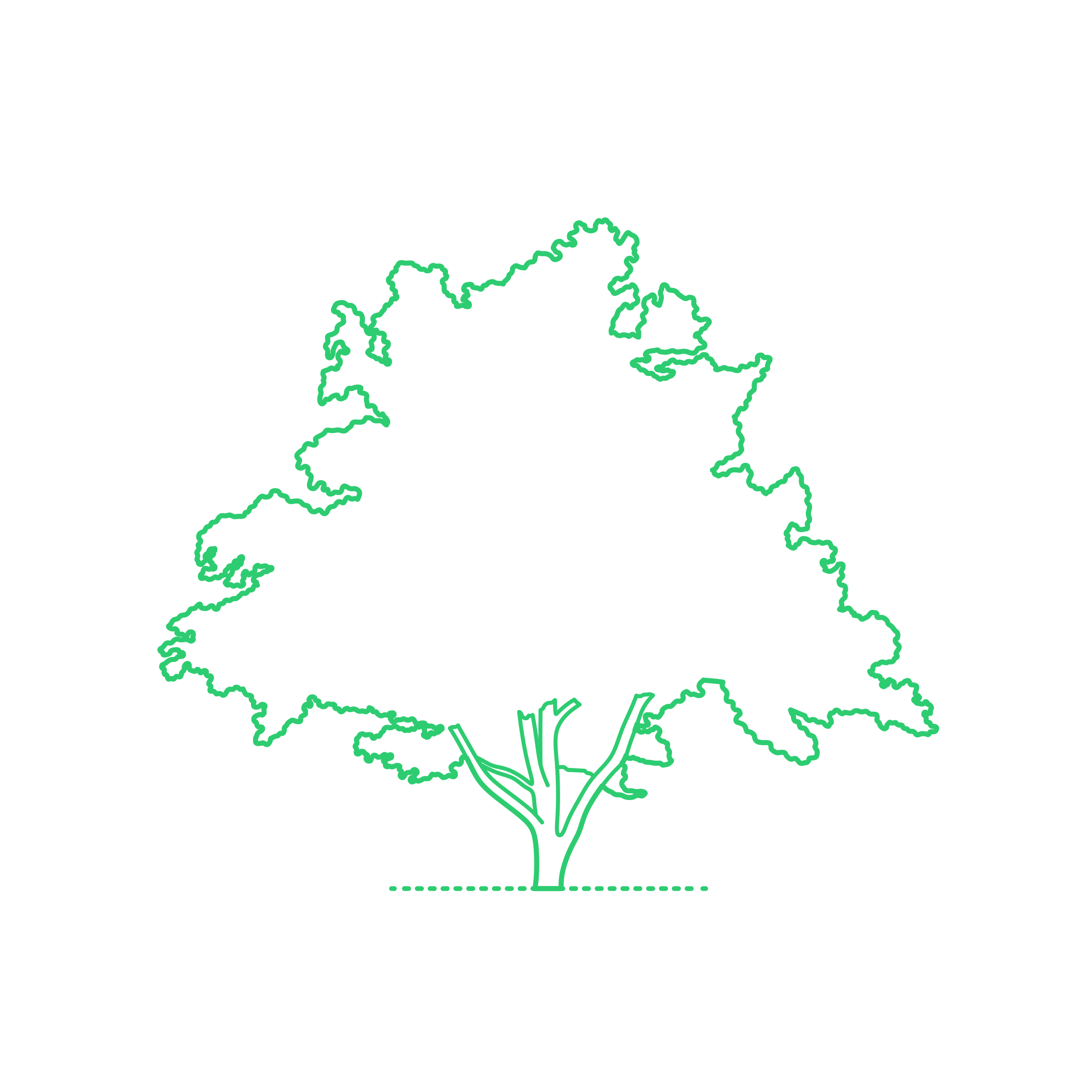 Plants Deciduous Trees White Ash American Ash Tree Contour Svg Vector Free Vectors